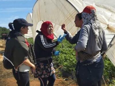 Boletín de Grupo de Trabajo, Trabajadores Rurales y Migración, Coordinadora Europea Vía Campesina