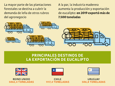 Bosques de leña y papel
