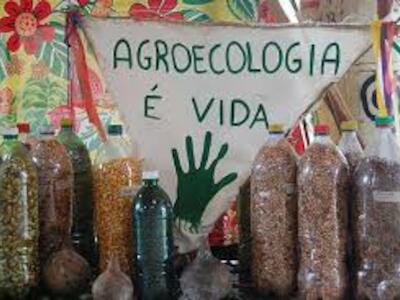 Brasil: Agroecologia e o MST
