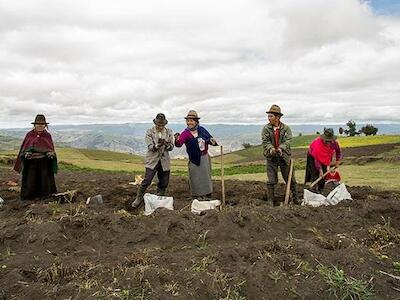 Imagen tomada de la página del  Ministerio de Agricultura y Ganadería de Ecuador