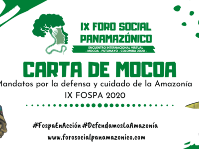 Carta de Mocoa: mandatos por la defensa y cuidado de la Amazonía