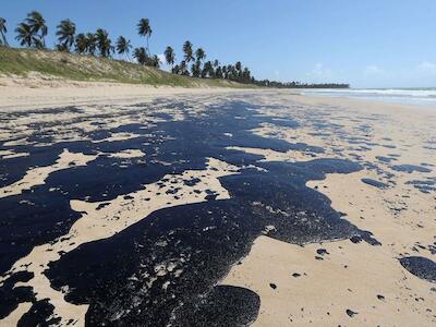 Carta de repúdio do Movimento dos Pescadores e Pescadoras Artesanais do Brasil (MPP) sobre o maior desastre ambiental do Brasil 