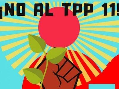 Chile Mejor sin TLC solicita a senadores que discusión del TPP-11 sea democrática y rigurosa
