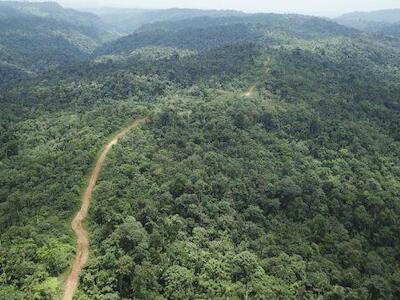 Chocó Ecuatoriano, una de las regiones más vulnerables del mundo