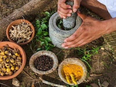 Ciencia, Propiedad Intelectual y Conocimientos ancestrales en la Convención