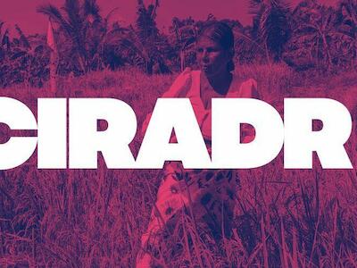 CIRADR+20: Renovando los compromisos globales con una reforma agraria integral y la justicia social