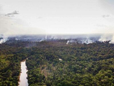 Com tramitação a toque de caixa, PL 528 quer regular Mercado Brasileiro de Redução de Emissões