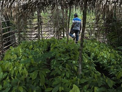 ‘Comida mais cara tem a ver com a falta de reforma agrária’, diz pesquisadora