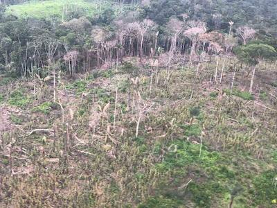 Como a 'MP da grilagem' pode mudar o mapa de regiões da Amazônia