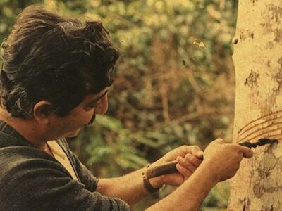 Chico Mendes, líder seringueiro assassinado em 1988: modelo de conservação desenvolvido a partir do seu trabalho ao lado da antropóloga Mari Allegretti é reproduzido hoje em cerca de 40% das áreas preservadas do mundo.