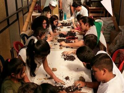 Cómo enamorar a niños y niñas por la agricultura urbana