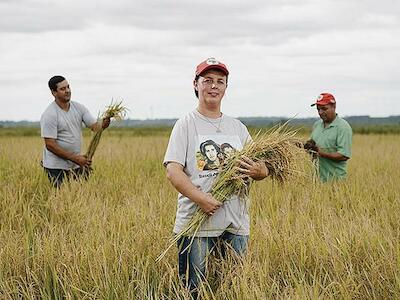 Beneficiado, grão sem veneno é exportado para os Estados Unidos, Holanda, Alemanha, Venezuela, Espanha e Portugal / Fotos: Alex Garcia