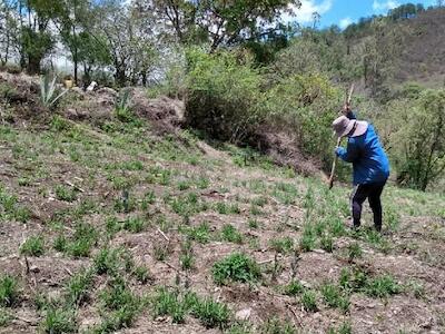 Coronavirus, hambre y resistencia