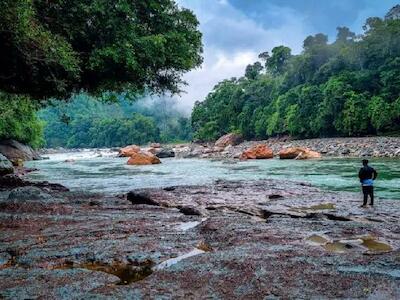 Los suelos, el agua y los territorios de los pueblos y nacionalidades indígenas de la Amazonía del Ecuador recibieron importante respaldo de máximo organismo constitucional. Crédito de la imagen: Emilio Bermeo/Alianza Ceibo.