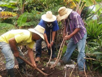 - Foto tomada del sitio web de CNTC Honduras.