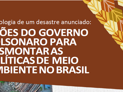 Cronologia de um desastre anunciado: ações do Governo Bolsonaro para desmontar as políticas de Meio Ambiente no Brasil