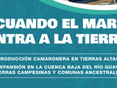 Cuando el mar entra a la tierra