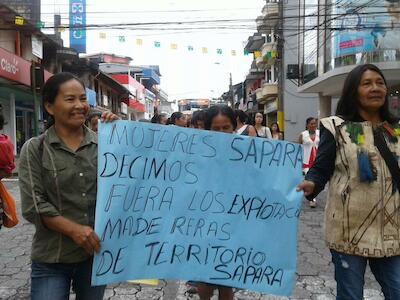 Declaración de Fin de Misión de la Relatora Especial de las Naciones Unidas sobre los Derechos de los Pueblos Indígenas, Victoria Tauli-Corpuz al f...