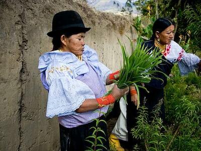 Del Buen Vivir estadocéntrico a la autonomía de los pueblos