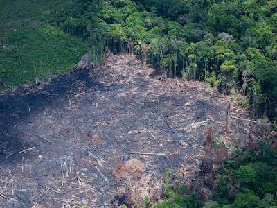 Só em março deste ano a Amazônia Legal registrou um aumento de 216% no desmatamento, comparado ao mesmo mês no ano passado, apontam os dados do Imazon. Foto: Daniel Beltra/Greenpeace
