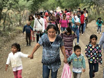 Desplazadas, casi 29 mil personas por crimen organizado en 2024