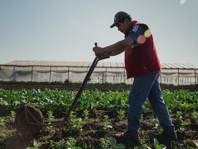 - Hay otros modos de producir y alimentarse (Foto: Vicky Cuomo / Gentileza UTT)