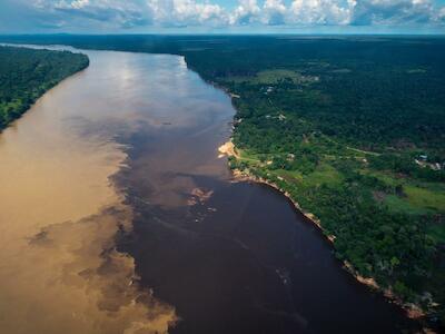 En la Estrella Fluvial de Inírida se combinan ríos de aguas blancas, claras y negras. Foto: Simón de Man – WWF Colombia