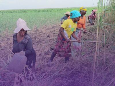 Foto: Justiça Ambiental/Amigos da Terra, Xai Xai, Moçambique.