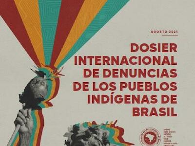 Dosier Internacional de denuncias de los pueblos indígenas de Brasil 