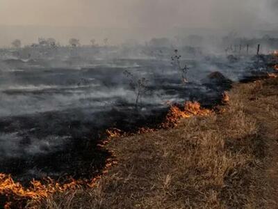 Destruíção do Cerrado condena a biodiversidade e acelera o aquecimento e e morte do Bioma. Foto: Getty Images