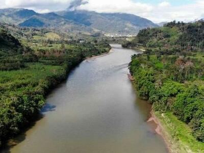 Ecología en fragmentos: todo está relacionado con todo