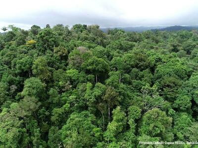 Ecuador Carbono Cero = ¿permisos para contaminar?