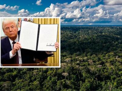 Efecto Trump en Brasil y Perú: discurso negacionista y retroceso ambiental