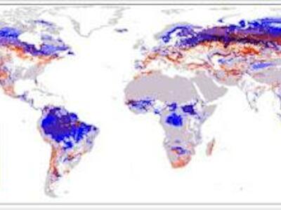 El 70% de las especies de árboles sufriría alteraciones