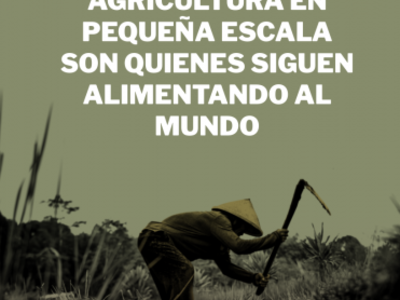 El campesinado y la agricultura en pequeña escala son quienes siguen alimentado al mundo