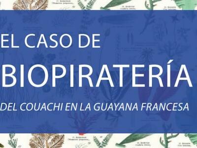 El caso de biopiratería del couachi en la Guayana Francesa