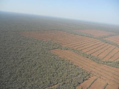 El extractivismo y el cambio climático en el Chaco