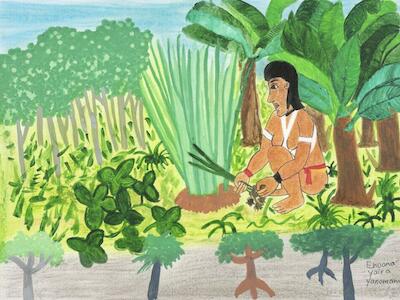 Ehuana Yaíra (Territorio Indígena Yanomami, Brasil), We Women Have a Plant Called Oka Xikɨ, Which Can Weaken Men When They Become Aggressive [Nosotras, las mujeres, tenemos una planta llamada Oka Xikɨ que puede debilitar a los hombres cuando se vuelven agresivos], 2023.