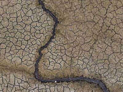 El planeta se seca: la desertificación y la sequía no son fenómenos distantes 