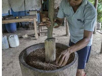 - Foto de resguardo indígena en el norte de Colombia. Foto: Viviana Sánchez Prada