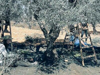 Organización campesina UAWC