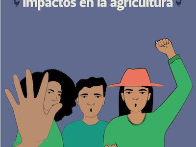 El Tratado de Libre Comercio entre Ecuador y la UE – impactos en la agricultura