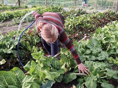 Ellas hacen la agroecología