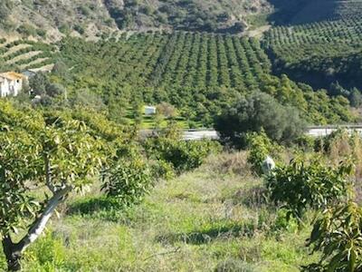 En Chile, la tierra sin agua no vale 