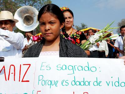 En México 3 cuartas partes del país aun siembra maíz nativo