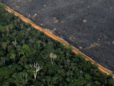 Efectos de la deforestación en la Amazonía brasileña, cerca de Porto Velho. BRUNO KELLY (REUTERS)