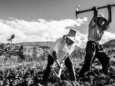 Es el momento de paralizar y repensar el acuerdo comercial UE-Mercosur