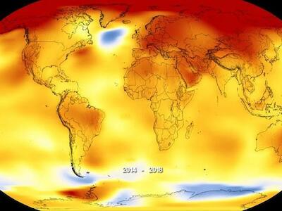 Esta no es la sexta extinción. Es el primer exterminio masivo