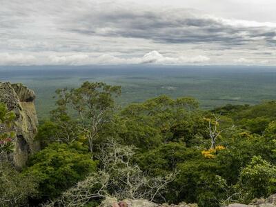 - Foto por Alfredo Romero.