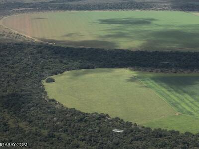 Los campos de soya van avanzando en la Amazonía sur de Brasil.Foto: Rhett A. Butler